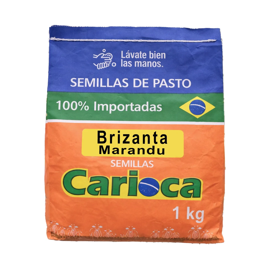 Productos