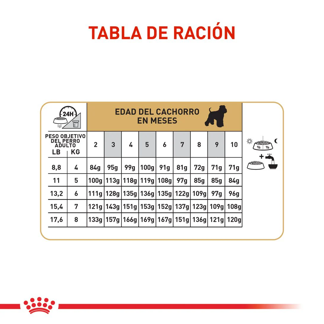 Imagen del producto 6